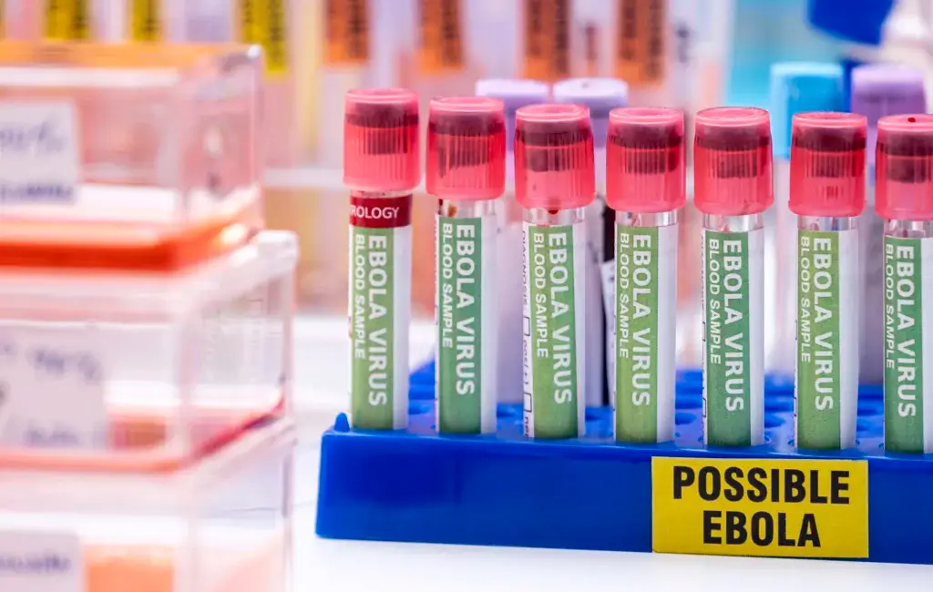 Analyzing the Bundibugyo Ebola Outbreak in the Drc