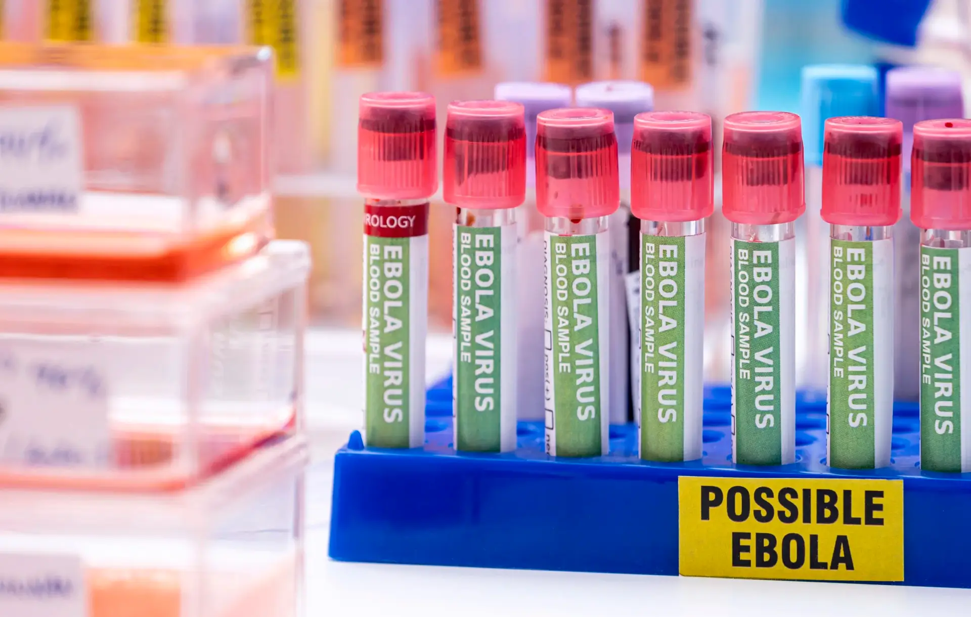 Analyzing the Bundibugyo Ebola Outbreak in the Drc